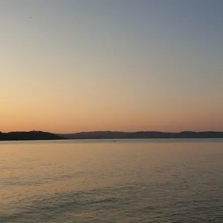 Mila - Fogas * Zamárdi