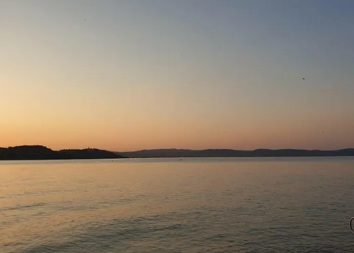 Mila - Fogas * Zamárdi